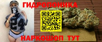 тгк Будённовск