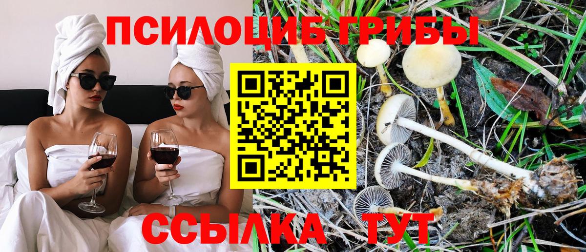 Галлюциногенные грибы мицелий  Галлюциногенные грибы Psilocybe  Лениногорск  Вход с VPN 